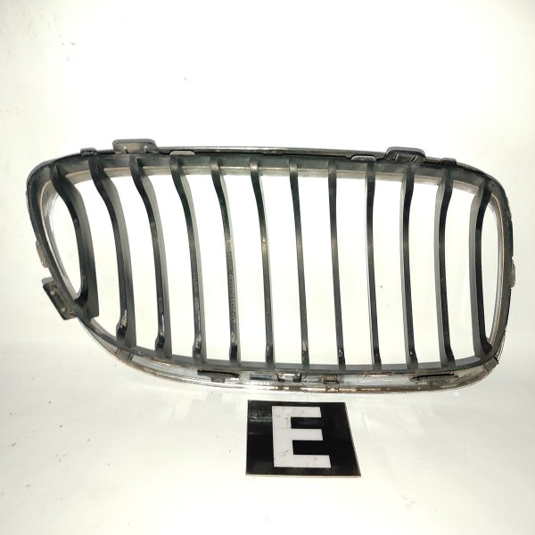 Grade Dianteira Esquerda Bmw 320 325 328 330 335 E90 06 12 Brilhante