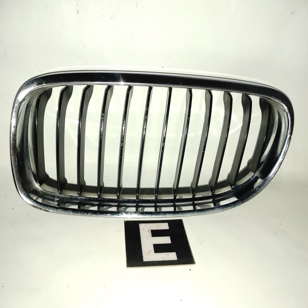 Grade Dianteira Esquerda Bmw 320 325 328 330 335 E90 06 12 Brilhante
