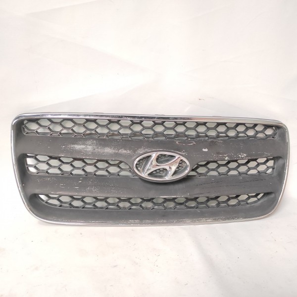 Grade Dianteira Santa Fé 2009 Preto Fosco