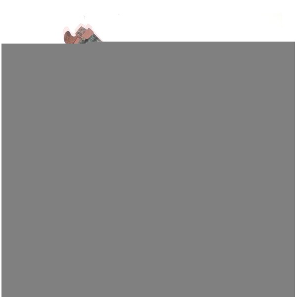 Capa Inferior Correia Dentada Audi Tt Quattro Mk1 1.8t 1998