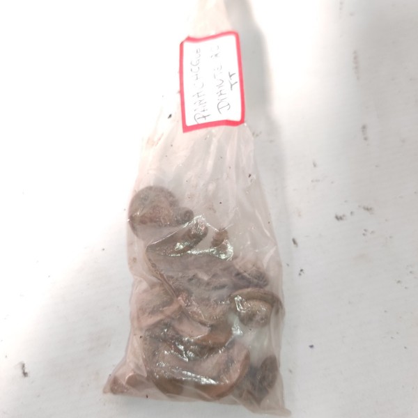 Parafusos Parachoque Dianteiro Audi Tt Quattro Mk1 1.8t 1998