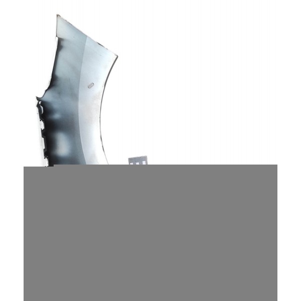 Paralama Dianteiro Esquerdo Peugeot 308 408 2011 2012 2014