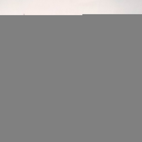 Tweeter Forro Porta 1393480 Bmw 325 1995 E36 Detalhe