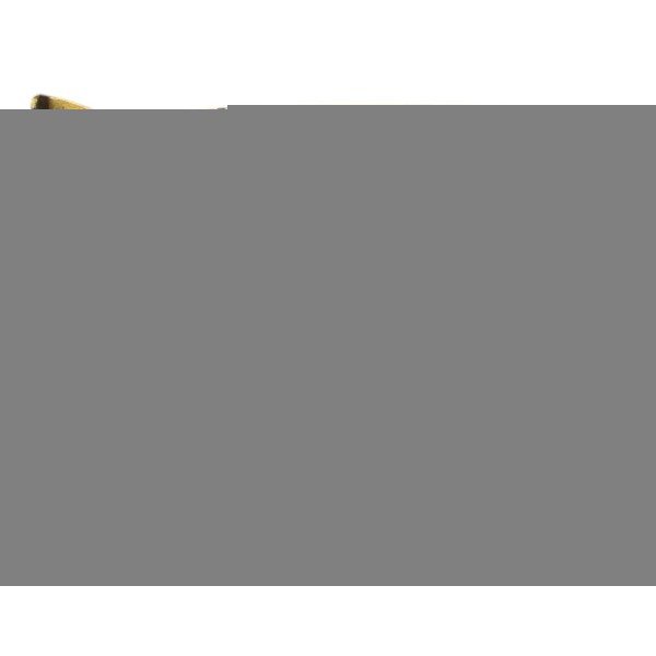 Portinhola Tanque 1h0010092c Audi A3 1996 2005 Amarelo