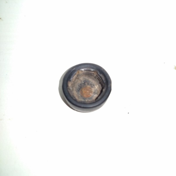 Tampa Parafuso Limpador Parabrisa Grand Vitara98 Tracker09   Direito