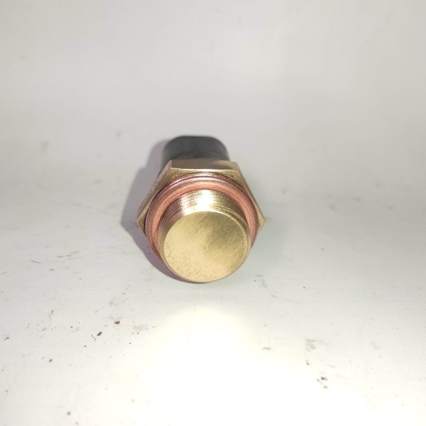 Cebolao Radiador Sensor Temperatura 268063 Laguna 2.0 95 04