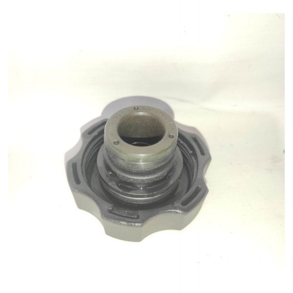 Tampa Reservatório Radiador Chevrolet Captiva 3.6 2008 2011