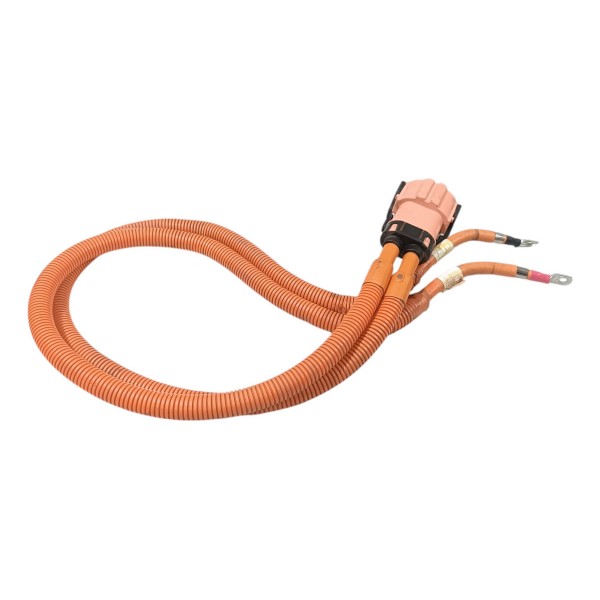 Cabo Bateria Jac Ejs1 2021 2025 Laranja