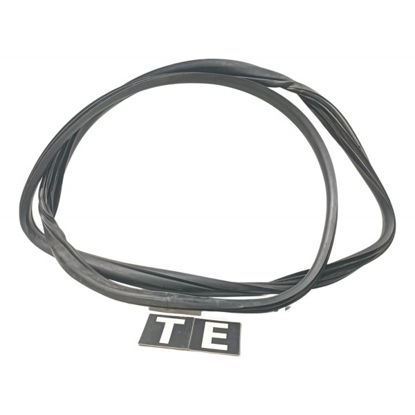 Borracha De Porta Traseira Esquerda Jac Ejs1 2021 2025