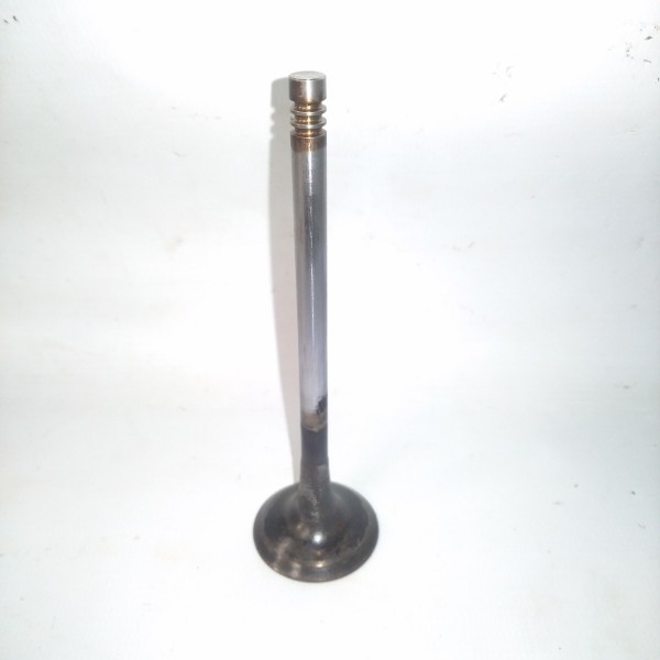 Válvula Escape Cabeçote Bmw E46 328i