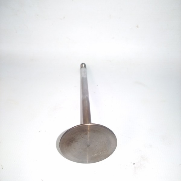 Válvula Admissão  Cabeçote Bmw E46 328i