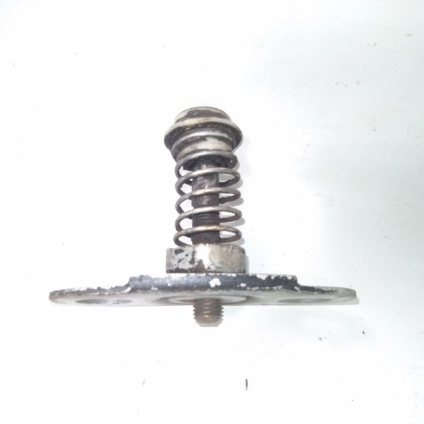 Batente Capo Bmw E46 328i