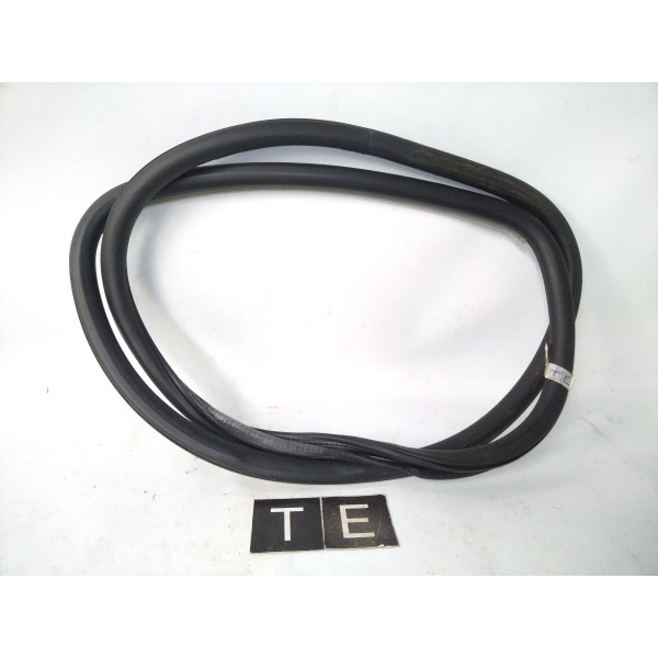 Borracha Porta Traseira Esquerda Audi A3 Sportback 2010