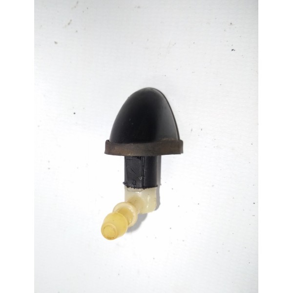 Burucutu Esguicho Limpador Veracruz 2008