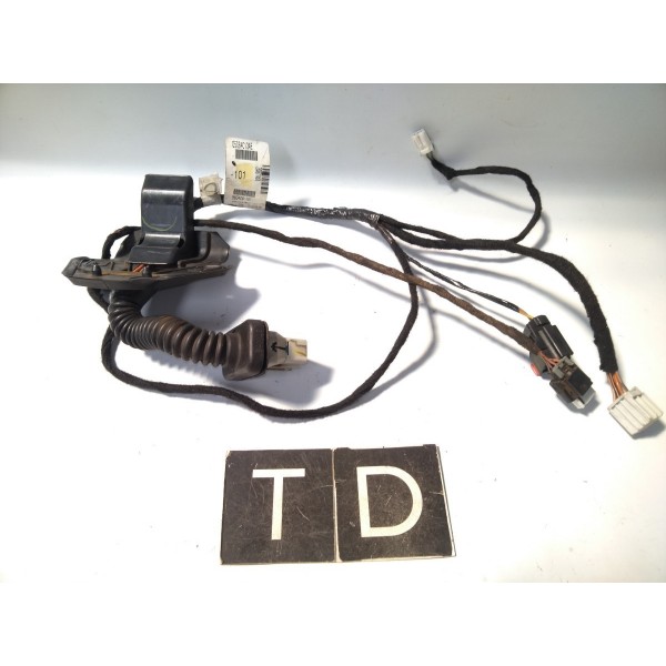 Chicote De Porta Traseira Direita Dodge Journey 2007-2010
