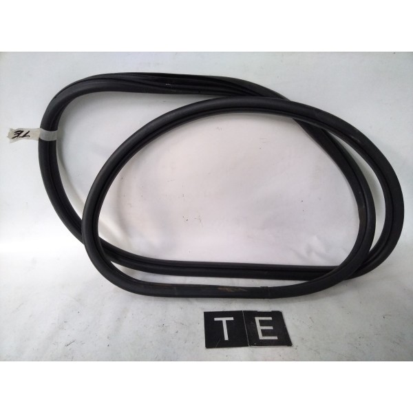 Borracha Porta Traseira Esquerda Ford Fusion 2006-2009