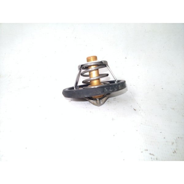 Valvula Termostatica 4m5g8575 Ford Ecosport 2013