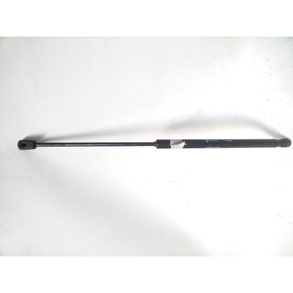 Amortecedor Porta Malas C15n400a12 Ecosport Freestyle 2013