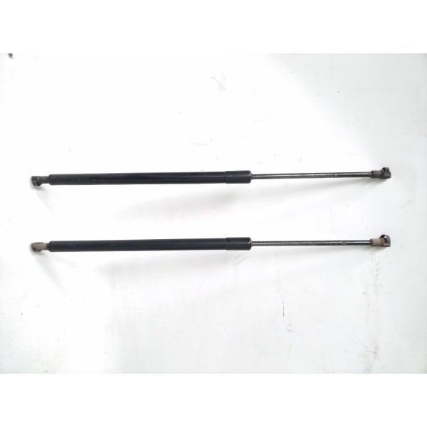 Par Amortecedor Porta Malas Inferior 8402405  Bmw X5 99 2005