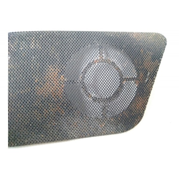 Tela Do Auto Falante Painel Direito Bmw X5 1999 2005 Detalhe Preto