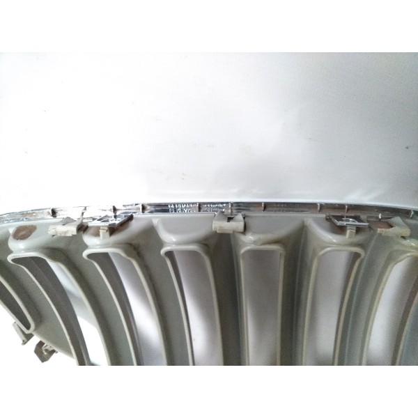 Grade Dianteira Esquerda 7113738 Bmw X5 1999 2005 Detalhe Prateado Esquerdo