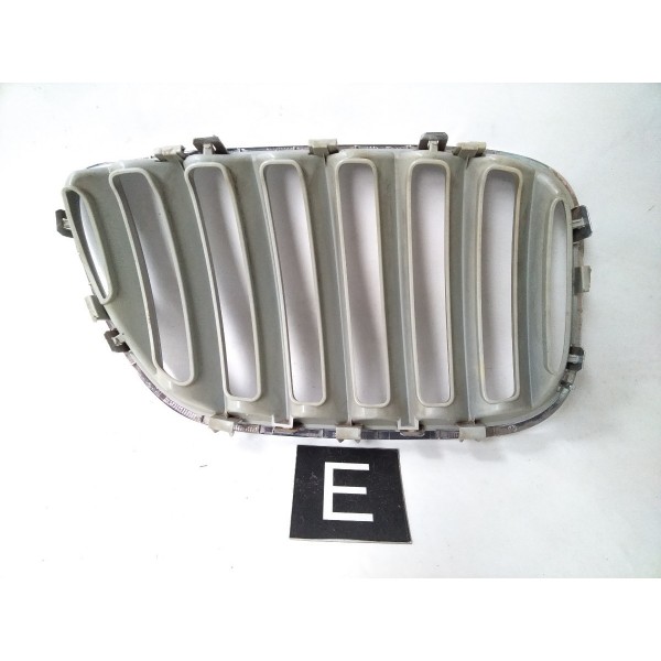 Grade Dianteira Esquerda 7113738 Bmw X5 1999 2005 Detalhe Prateado Esquerdo
