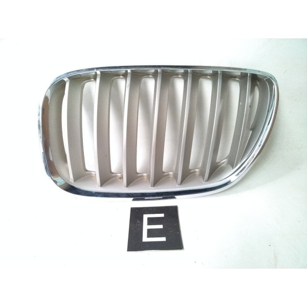 Grade Dianteira Esquerda 7113738 Bmw X5 1999 2005 Detalhe Prateado Esquerdo